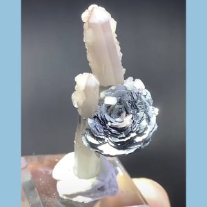 晶花雪月